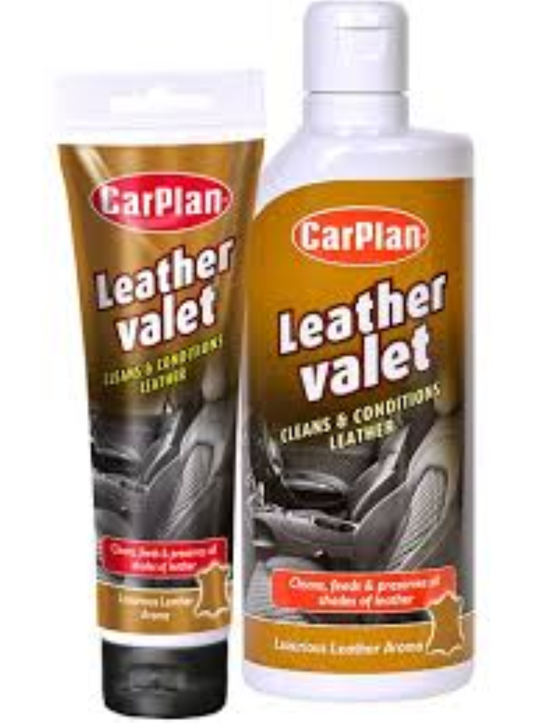CARPLAN LEATHER VALET